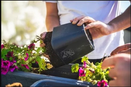 The Revolutionary Plant-Based Plastic Solution for Your Garden Needs